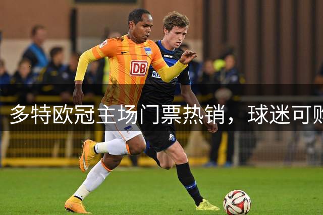 多特欧冠主场门票热销，球迷可购限10张